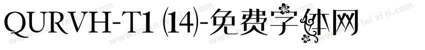 QURVH-T1 (14)字体转换